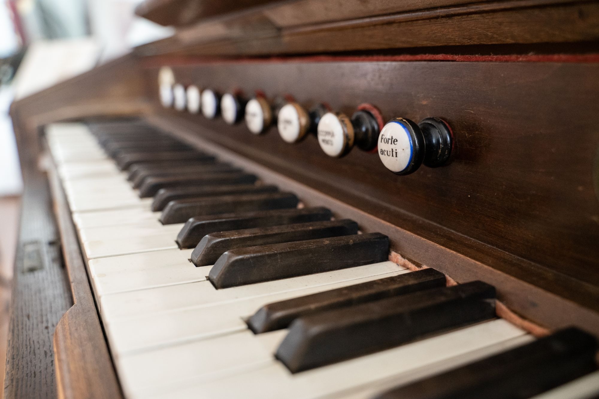 armonium5-1615485717