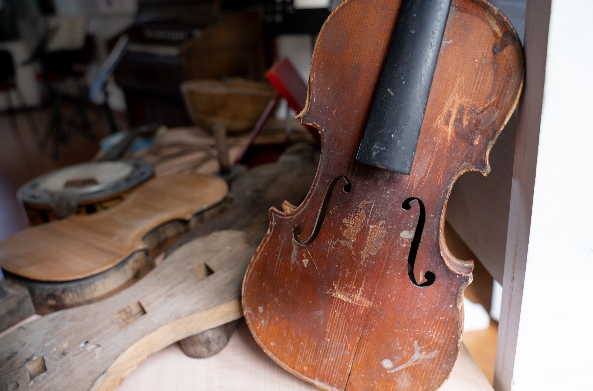 ricciotto7-1615486461