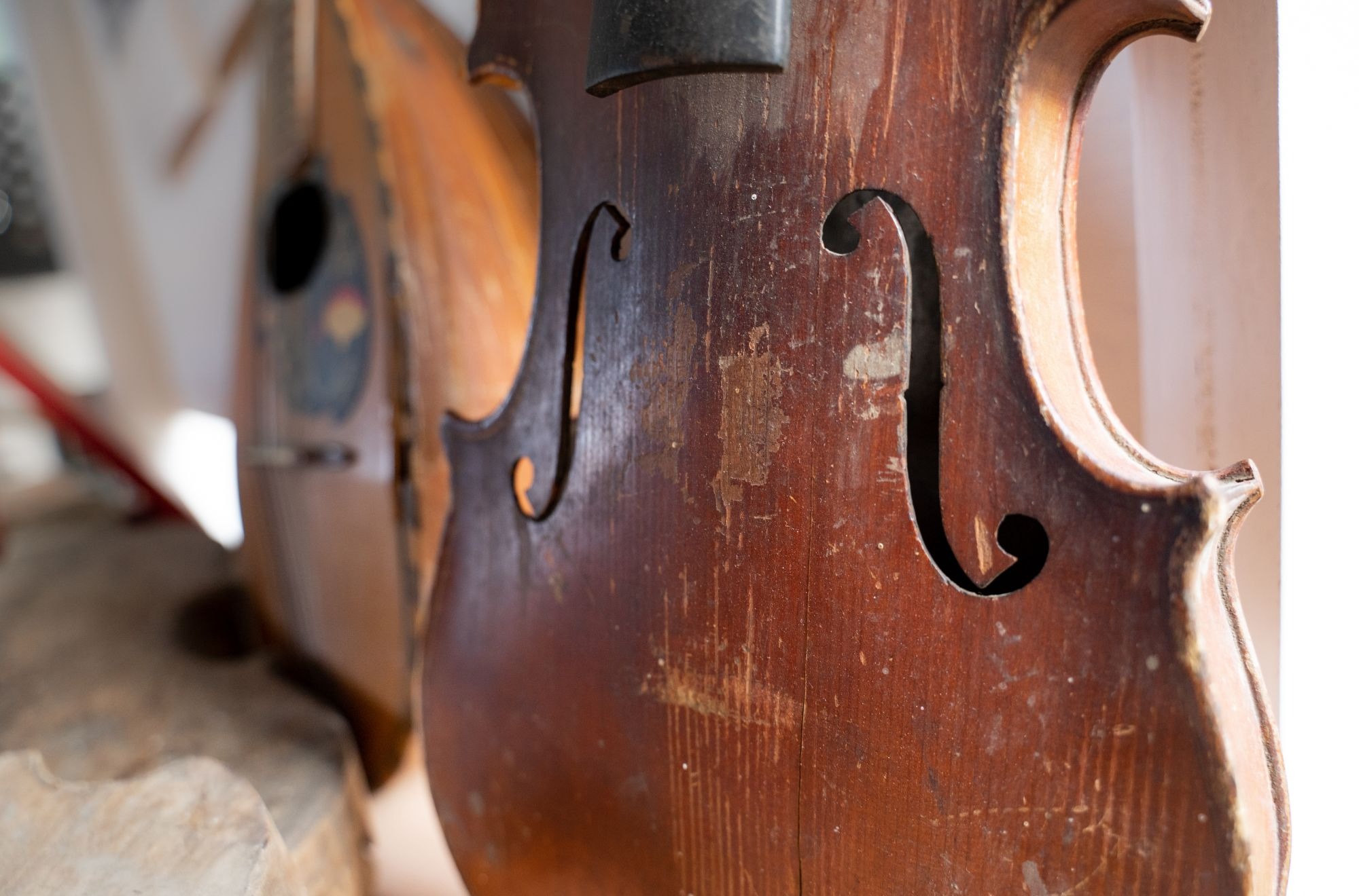 ricciotto9-1615486509